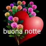 buonanotte e un abbraccio 😋