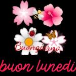 Buon lunedi
