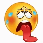 Buongiorno Buon Forno