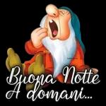 Buona Notte A domani...