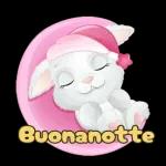 Buongiorno