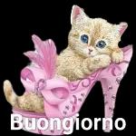 Buongiorno