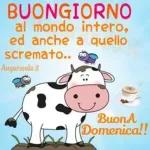 BUONA DOMENICA