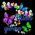 buon giorno