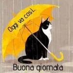 Anche con la pioggia... Buongiorno!