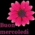 Buon mercoledì amici 