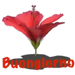 Buona domenica a te