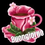 Buongiorno