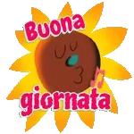 cisibnv