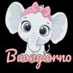 Un buongiorno per te