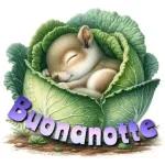 Buonanotte