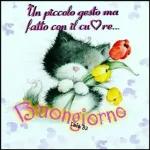 Buondi
FELICE GIOVEDÌ
I link di Fragolina