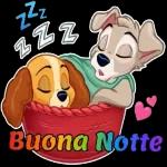 Buongiornissimo!