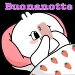 buonanotte