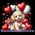 Buona Domenica