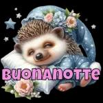 BUONANOTTE