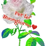 Un Giorno Speciale per Te 🎂🌸