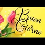 Vendesi Esaurimento Nervoso in ottime condizioni