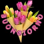 Un affettuoso
Buongiorno
tutto per te
Scrignodighiaccio