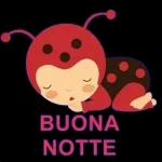 BUONANOTTE