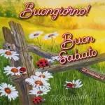 BUONGIORNO E BUON INIZIO SETTIMANA