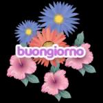 Dormibene,notte notte