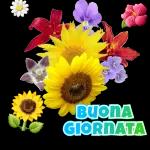Buongiorno
di
cuore
toghigipaper.com