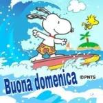 BUONA DOMENICA