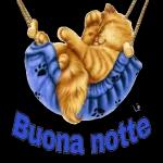 Notte Notte