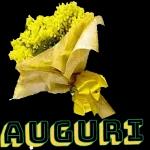 Auguri  Buona Festa della Donna