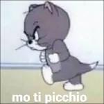 vaffanculo
