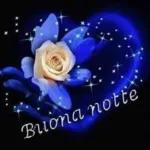 Buona notte