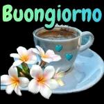 C **** BUONGIORNO