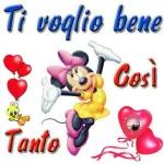 Buona
Notte