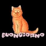 Buon giorno
Ricordati
di
essere
felice!