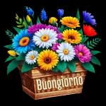buongiorno