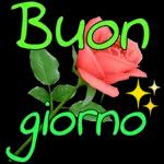  Buongiorno
