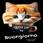 voi starete sempre i miei amori non mai vi lascia rono ad