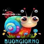 Buona domenica mattina!