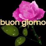 buongiorno