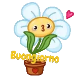 Buongiorno