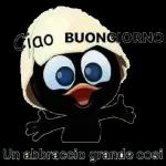 Buongiorno!