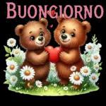 BUON MARTEDI! Buongiorn