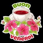 fiori stickers🌸🌸