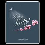 BUONANOTTE