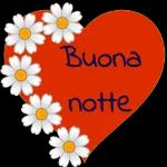 Sogni d’oro e di felicità 🌠🌈