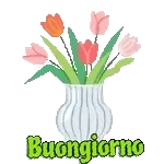 Buongiorno