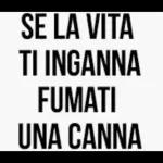BUONANOTTE AMICI