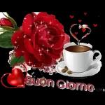 Buongiorno
