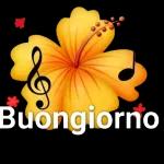 Buongiorno